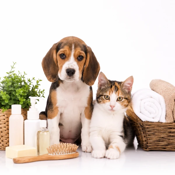 Marketing per centri pet care