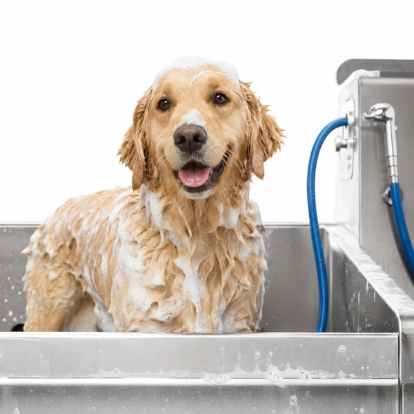 Marketing per lavaggio cani self service
